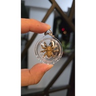重磅消息 ️火热出炉啦 Thai Amulet ️阿赞宋特. Aj Songthep 招财吸财 蜘蛛 包防水壳waterproof casing