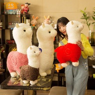 Cute white Alpaca teddy bear with soft fur - Imported stuffed animal - BB teddy bear