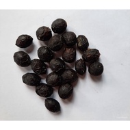 Factory direct sales Laurel Seeds (Bay Leaf) for Planting 5TSG