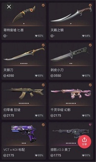 Valorant 遊戲內刀具及槍枝皮膚