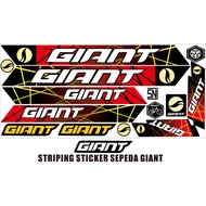 Giant BIKE STRIPING BIKE ART VARIATIONS