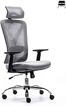 Ergonomic Office Chair Home Computer Chair Reclining Backrest Lunch Break Footrest Boss Chair Comfortable and Sedentary Sitting (Color : Upgraded Version Gray) interesting