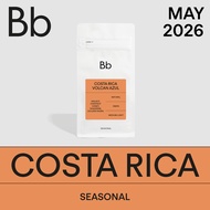 BEAN BROTHERS 451 Costa Rica Volcan Azul Single Origin Coffee Beans Kopi Biji 咖啡豆 (200g)
