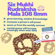 Original 6 Face Rudraksha 108 Mala/Malai (11mm) Rudraksha Bead With Lab Certificate