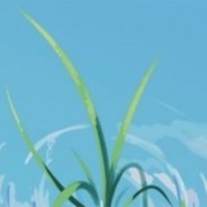 111  Cover Water Inlet 1- For- Outboard Motor 2T 20HP 25HP -30HP 4T F20 F25 F40 F45