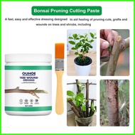 Big Tree Wound Healing Agent Plant Grafting Pruning Sealer with Brush Bonsai Cut Wound Paste Tree Repair Agent Repair Tools drea2sg