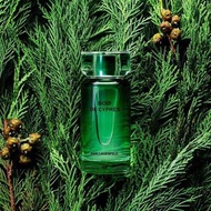 💖包順豐 Karl Lagerfeld Bois de Cyprès Eau de Toilette 卡爾•拉格斐-冷香絲柏淡香水 samkiu