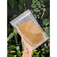 slow release fertilizer ACL osmocote Exact mini 15-9-11 500grm