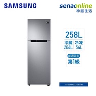 SAMSUNG 258L極簡雙門冰箱 時尚銀 RT25M4015S8【贈基本安裝】