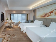 Vienna International Hotel (Jiangxi Ganzhou Nankang Furniture City Shop)