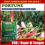 COD Pupuk Kalsium FORTUNE 1 KG Pupuk Pencegah Rontok Buah Cabe Cabai Ampuh - Obat Pencegah Rontok Bu