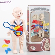HUIMAO Human Body Model, Body Puzzle Organ Human Anatomy Model, Kids Fun Anatomy Model Removable Sim