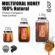 [SG] Multifloral Honey / 100% Natural Honey / Pure Honey Organic Honey Raw Honey / Manuka Honey UMF 15 Equivalent