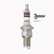 BUSI NGK BR9EIX 3981 Iridium IX Spark Plug