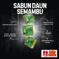 ZM Beauty - Sabun Daun Semambu 70g Untuk Kulit Chicken Pox, Gatal, Ekzema
