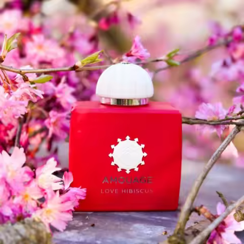 Amouage The Exceptional Extraits Women Eau De Parfum 100ml Long Lasting Elegant Feminine Scent Soft 