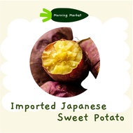 Imported Japanese Sweet Potato Ubi Jepun Manis Ubi Keledek