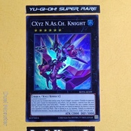 Rota-AE109 CXyz N.As.Ch. Knight (SR)