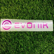 Evonik dortmund sponsor jersey