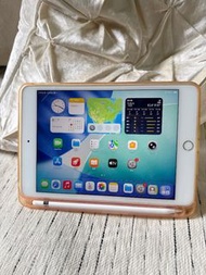 Apple iPad mini 第5代 64GB Wi-Fi 銀色➕觸屏筆