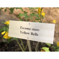 Yellow Bells Garden Plant Sign