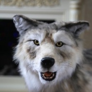 Wolf realistic plush animals. Ooak toy. Wolf stuffed toy