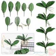 POPULARFR Simulation Leaves Home Decor Decorative Flowers Orchid Leaves Phalaenopsis Leaf