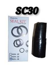 SC20 SC30 Seal kit Sancin 20 30 Pompa Steam