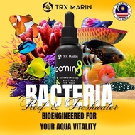 DOMIN8 BACTERIA | ULTRA CRYSTAL CLEAR WATER PENJERNIH AIR PSB PROBIOTIC EM4 BACTERIA NITRIFYING BACT