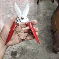 Shears (Stainless Steel) Scissors