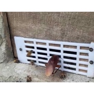 Queen bee door shield (internal bee)