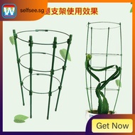 [in stock] Flower Pot Surround Flower Pot Fence Flower Pot Surround Clematis Climbing Frame Climbing