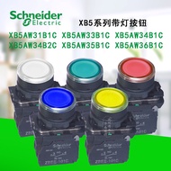 Schneider Lighted Button XB5AW31B1C/33B1C/34B1C/34B2C/35B1C/36B1C Green Red