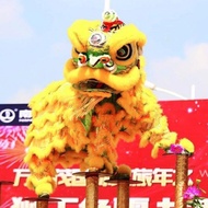 Performance Dance Lion Dance Set Lion Head Lion Dance School Performance Props Lion Dance Lion Dance
