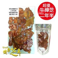 百年永續健康芝王 (兩年半) 超優級牛樟芝/菇 生鮮品 37.5g x1兩 專品藥局