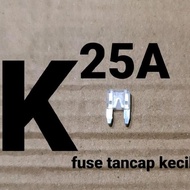 Small Plug-in Fuse 25A (Pius Fuse Flat Plug Fuse 25 A Ampere 12V 24V 36V 48V 58V Car Motorcycle Dc E