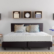 STEVENS ที่นอน VINCENT รุ่น ECO Support รับประกัน 5 ปี  พร้อมรับของสมนาคุณหมอนหนุน