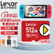 雷克沙TF卡 switch内存卡手机存储卡 micro sd卡行车记录仪卡 适用Steam Deck 512GB【任天堂Switch专用内存卡】 PLAY闪存卡 游戏机平板扩容