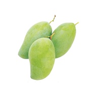 มะม่วงแก้ว 1 กก.