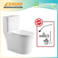 Sorento One Piece Wash Down Flushing S Trap 300mm 12 INCH Water Closet WC Toilet Bowl SRTWC8152-300