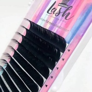 MASSCAKU ELLIPSE FLAT LASH ELLIPSE EYELASH/ Soft/ Premiumnatural