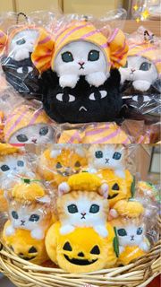 Mofusand  萬聖節 Halloween 南瓜貓貓