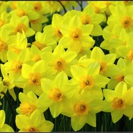 ms test product sample only sg