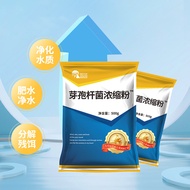 Compound Bacillus Bacillus Concentrated Powder zz Aquatic Fish Pond em Strains Degrading Ammonia Nit