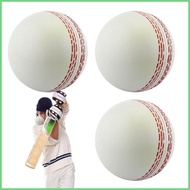 Cricket Tennis Balls Sports Wind Cricket Balls Portable Indoor Outdoor Soft Training Cricket Ball Ha
