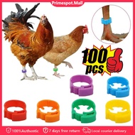 Adjustable Chicken Foot Rings Label Clasp Plastic Duck Pigeon Goose Farm Label Identification
