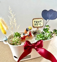 多肉組盆 多肉植物 日式 火影忍者 鳴人 NARUTO 漩渦鳴人 生日禮