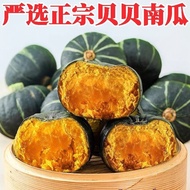 [Strict Selection]Beibei Pumpkin Chestnut Flavor Baby Food Sweet Glutinous Fresh Vegetables Authenti