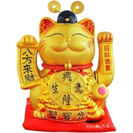 8.5 Lucky Fortune Lucky Fortune Lucky Fortune Lucky Fortune Home Office Lucky Fortune 2GFE