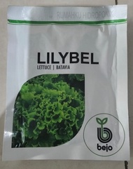 TERBATAS Benih Bibit selada Batavia Lilybel 1000 pill - Bejo